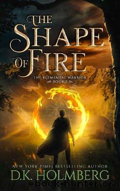 The Shape of Fire by D K Holmberg