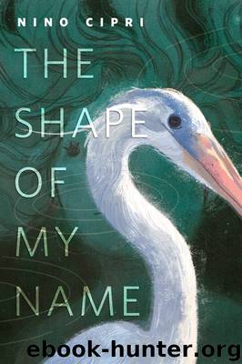 The Shape of My Name by Nino Cipri