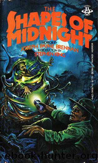 The Shapes of Midnight by Brennan Joseph Payne