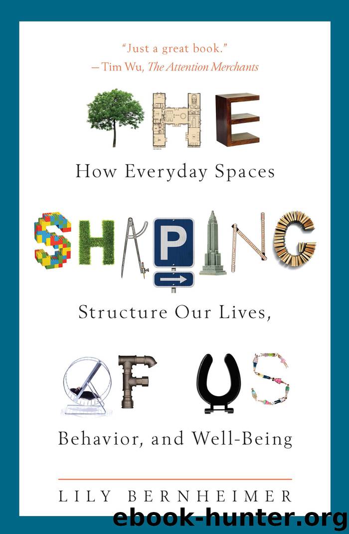 The Shaping of Us by Lily Bernheimer