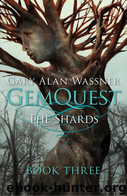 The Shards by Gary Alan Wassner