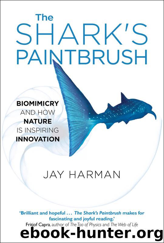The Shark's Paintbrush by Jay Harman