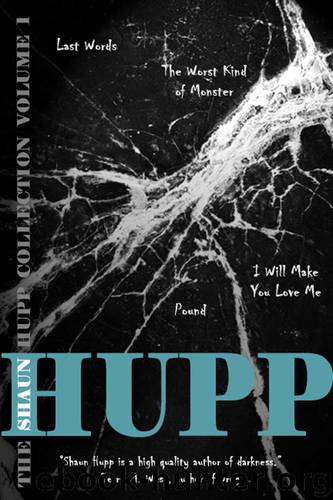 The Shaun Hupp Collection Volume 1 by Hupp Shaun