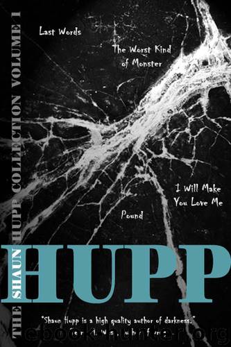 The Shaun Hupp Collection: Volume 1 by Hupp Shaun