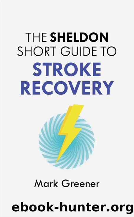 The Sheldon Short Guide to Stroke Recovery by Mark Greener