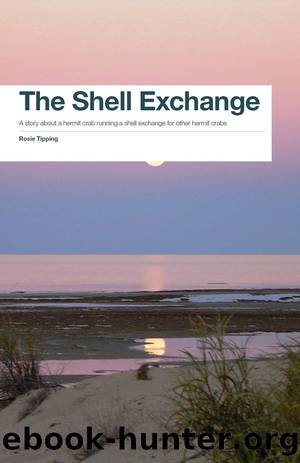 The Shell Exchange by Rosie Tipping