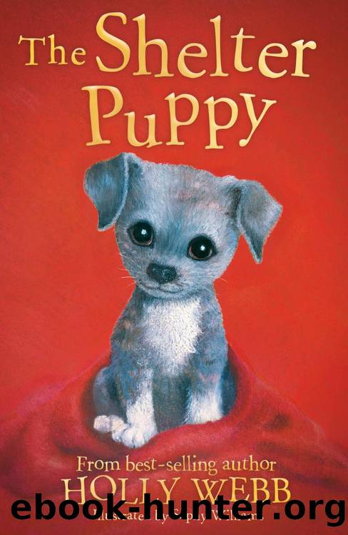 The Shelter Puppy by Holly Webb