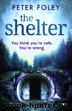 The Shelter by Peter Foley