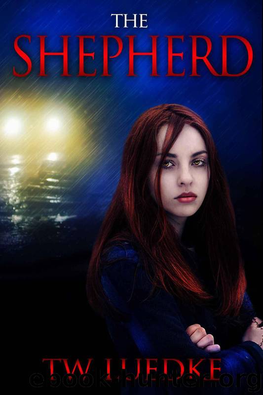 The Shepherd by Luedke Travis