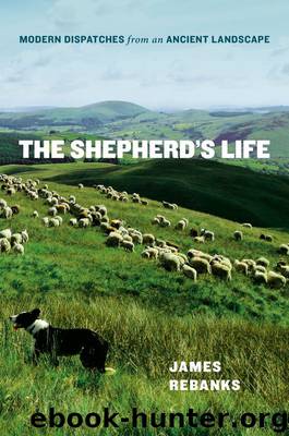 The Shepherd's Life: Modern Dispatches from an Ancient Landscape by James Rebanks