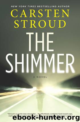 The Shimmer by Carsten Stroud