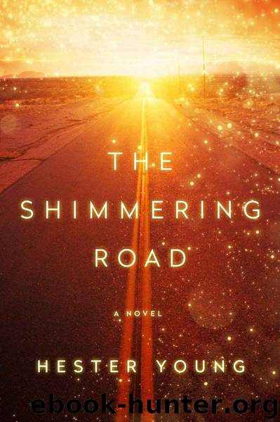 The Shimmering Road by Hester Young