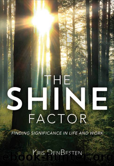 The Shine Factor by Kris DenBesten