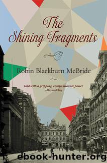The Shining Fragments by Robin Blackburn McBride