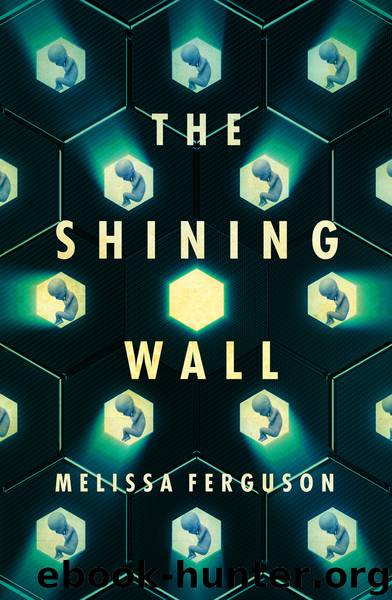 The Shining Wall by Melissa Ferguson