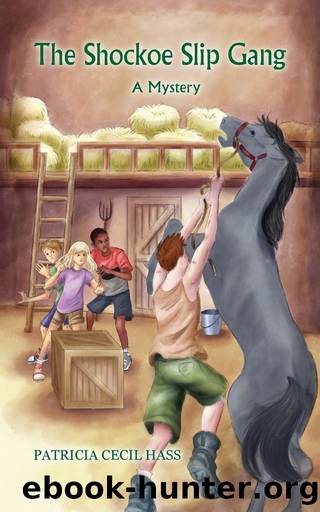 The Shockhoe Slip Gang: A Mystery by Patricia Cecil Hass & Illustrations by Laura Corson