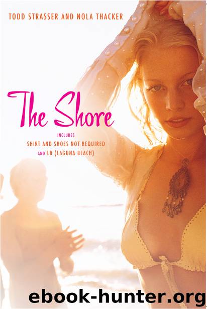 The Shore by Todd Strasser