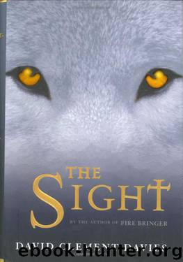 The Sight by David Clement-Davies