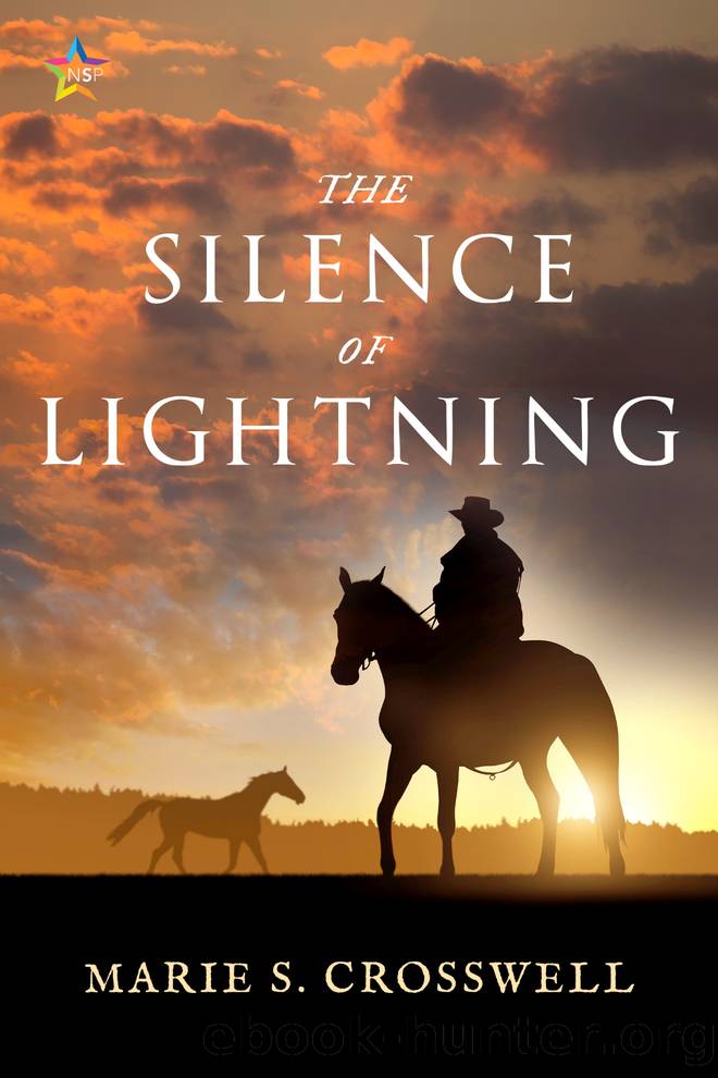 The Silence of Lightning by Marie S. Crosswell