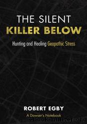 The Silent Killer Below by Robert Egby