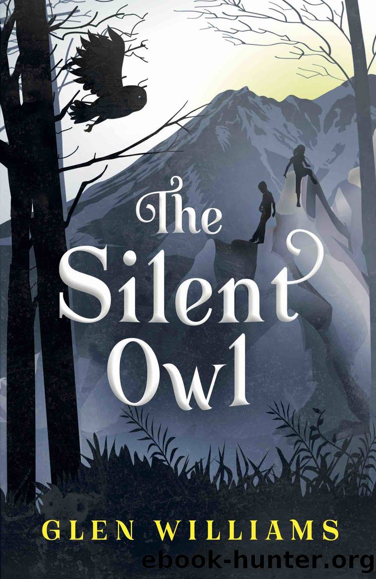 The Silent Owl by Glen Williams