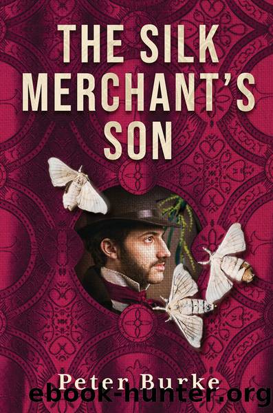 The Silk Merchantâs Son by Peter Burke