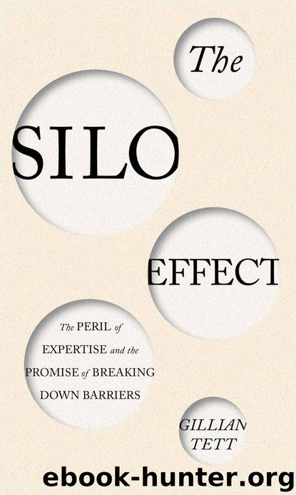 The Silo Effect: The Peril of Expertise and the Promise of Breaking Down Barriers by Gillian Tett
