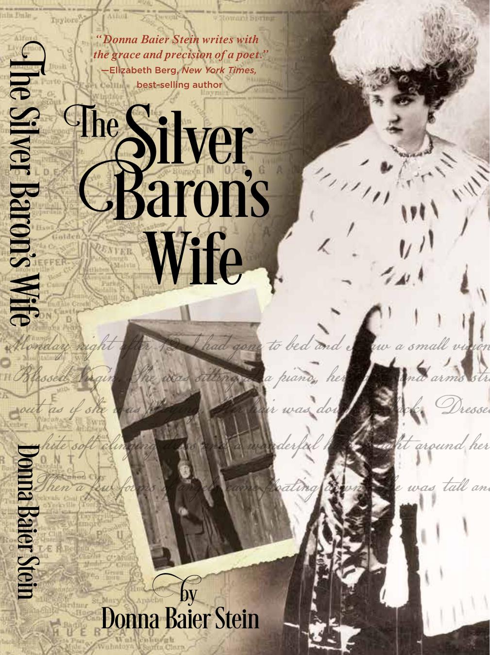 The Silver Baron's Wife by Baier Stein Donna