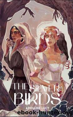 The Silver Birds by Apolline Lucy