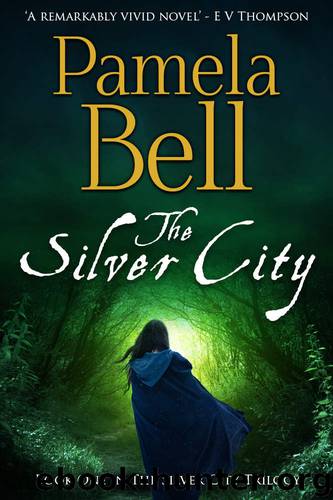 The Silver City by Pamela Belle