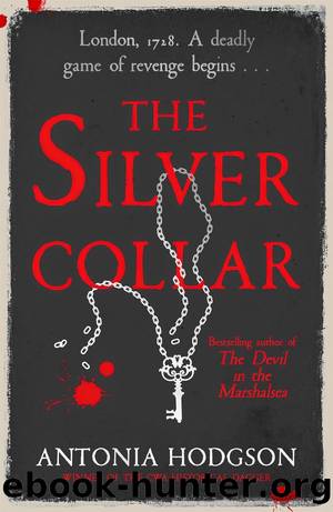 The Silver Collar by Antonia Hodgson