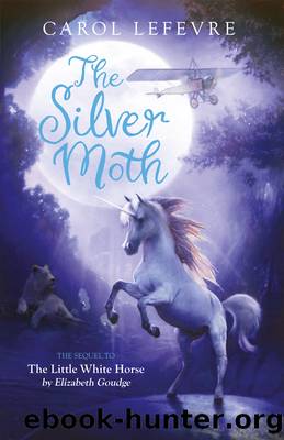 The Silver Moth by Carol Lefevre