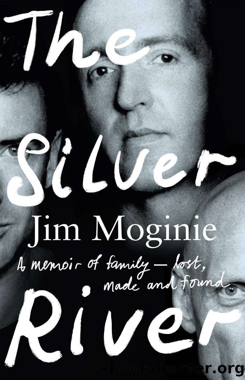 The Silver River by Jim Moginie