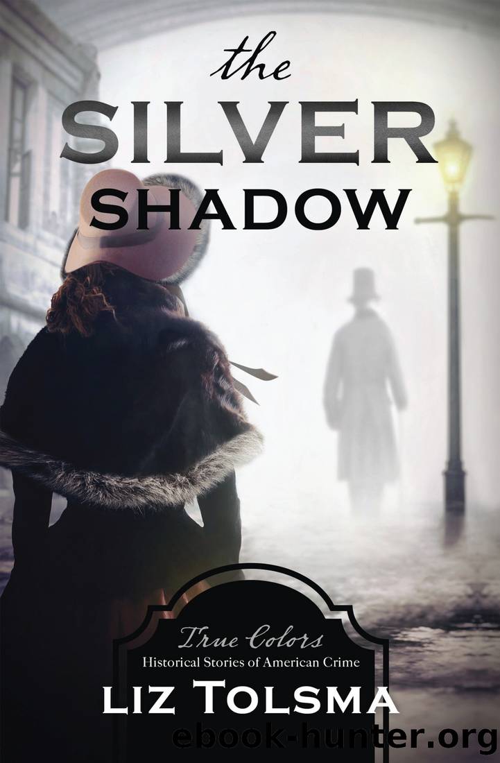 The Silver Shadow by Liz Tolsma