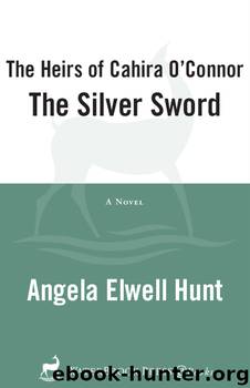 The Silver Sword by Angela Elwell Hunt
