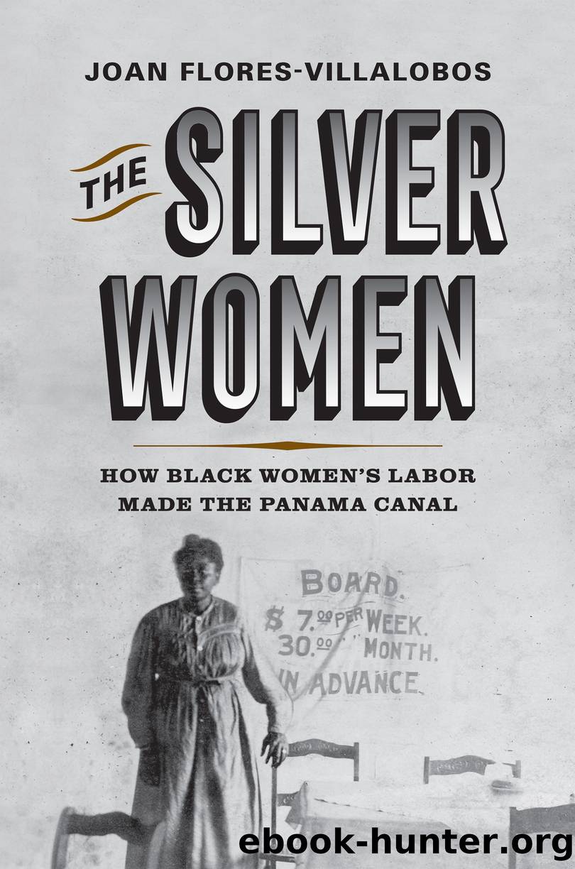 The Silver Women by Joan Flores-Villalobos