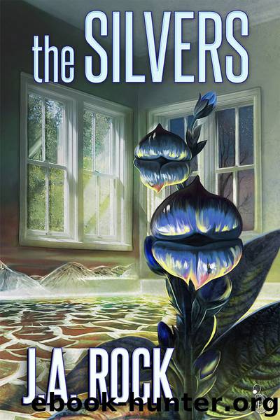 The Silvers by J.A. Rock