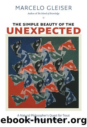 The Simple Beauty of the Unexpected by Marcelo Gleiser