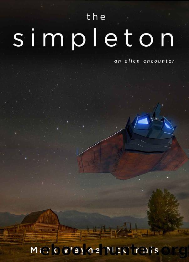 The Simpleton by Mark Wayne McGinnis