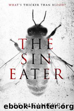 The Sin Eater by Lee McIntyre