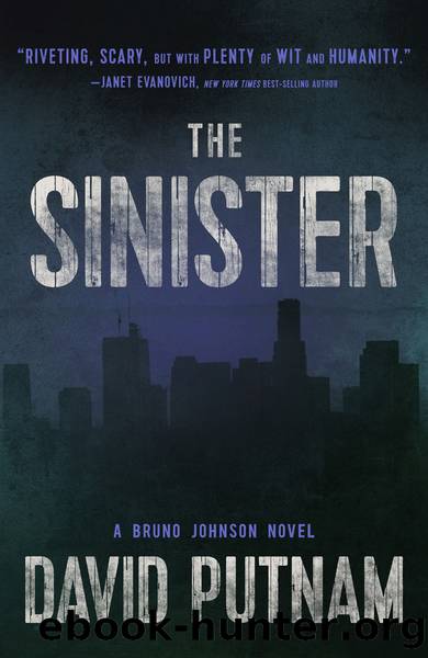 The Sinister by David Putnam