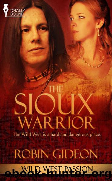 The Sioux Warrior by Robin Gideon