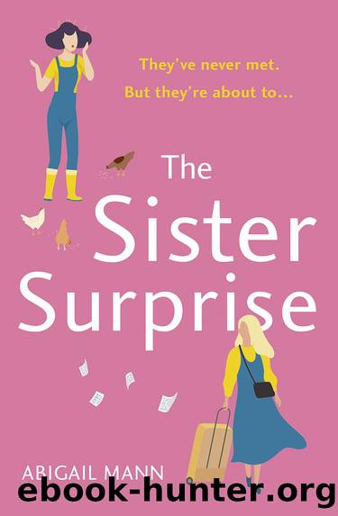 The Sister Surprise by Abigail Mann
