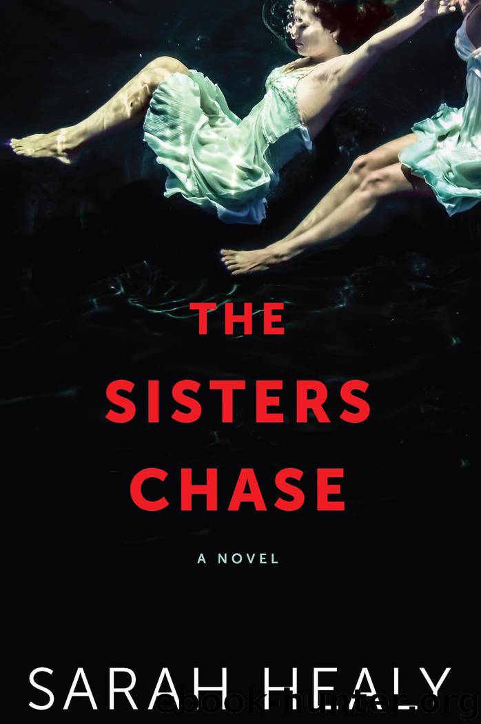 The Sisters Chase by Sarah Healy