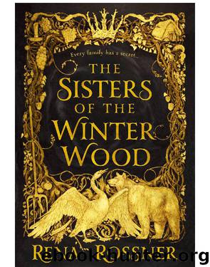 The Sisters of the Winter Wood by Rena Rossner