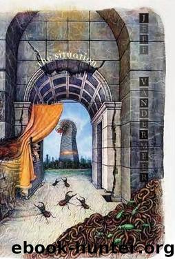 The Situation by Jeff VanderMeer