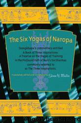 The Six Yogas of Naropa: Tsongkhapa's Commentary Entitled a Book of Three Inspirations: A Treatise on the Stages of Training in the Profound Path of Naro's Six Dharmas by Tsong-Kha-Pa & Glenn C. Mullin