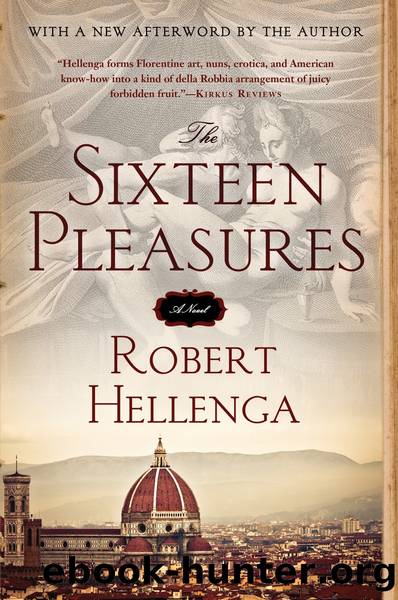 The Sixteen Pleasures by Robert Hellenga