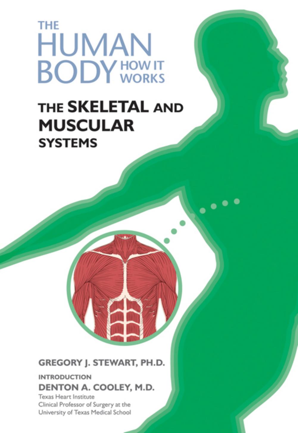 The Skeletal and Muscular Systems (The Human Body, How It Works) by Gregory J. Stewart