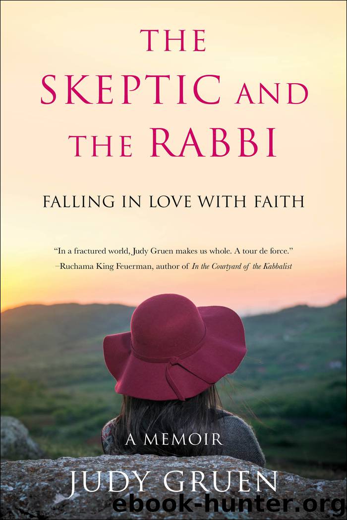 The Skeptic and the Rabbi by Judy Gruen